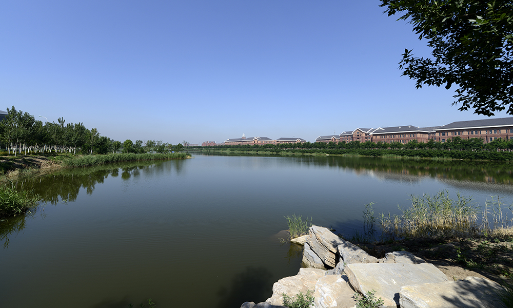 天津：詠逃扒期工程項目